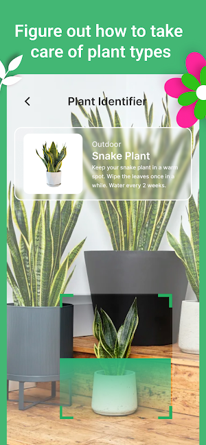 Plant Eye - AI Identifier Screenshot 1