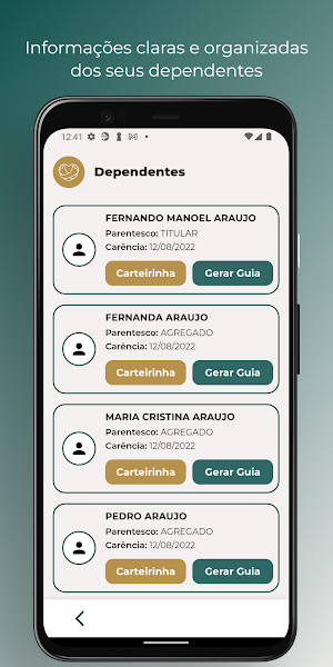 Grupo Sinsef Screenshot 2