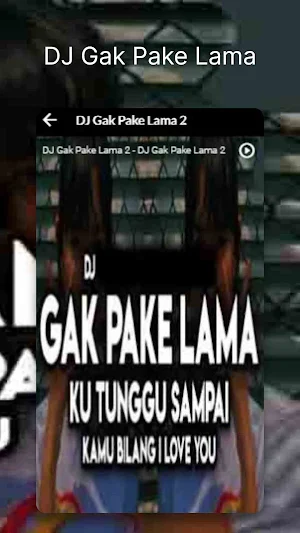 DJ Gak Pake Lama Screenshot 3