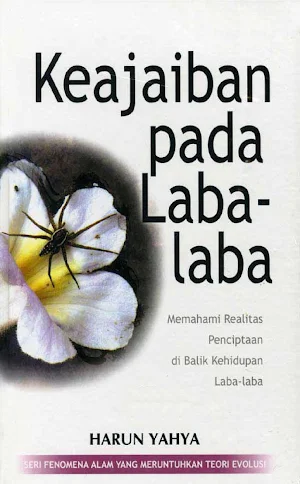 Keajaiban Pada Laba-Laba Screenshot 0