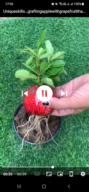 Video Player- Video Downloader Screenshot 3