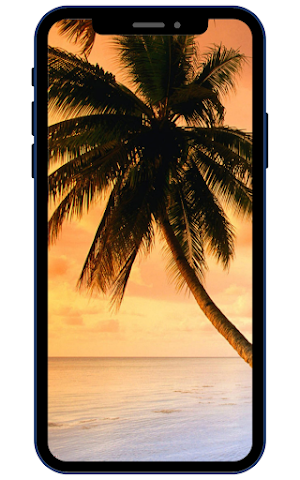 Palm Tree Wallpapers Screenshot 2
