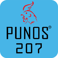 Punos 207