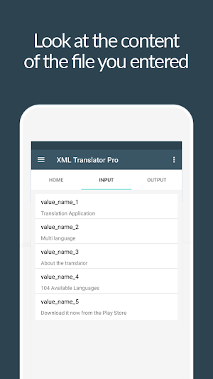 XML Translator Pro Screenshot 3