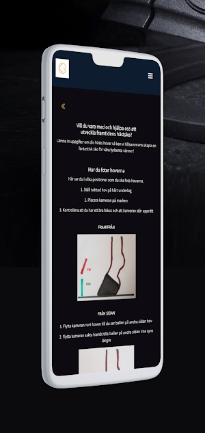 Guldhov Screenshot 0