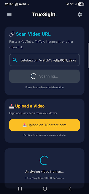 TrueSight - AI Video Detector Screenshot 1