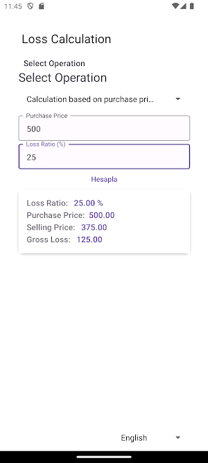 Loss Calculation Screenshot 3