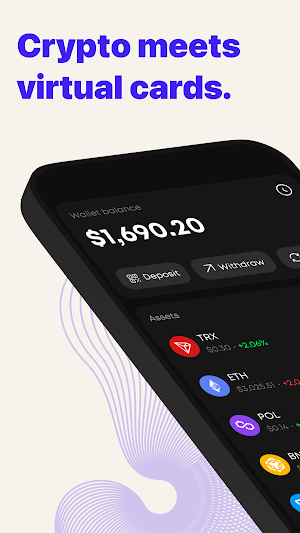 WebWise Pay: Wallet & Card Screenshot 0