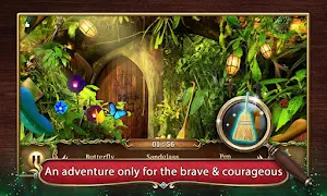 Hidden Objects: Mystery of the Enchanted Forest Screenshot 0