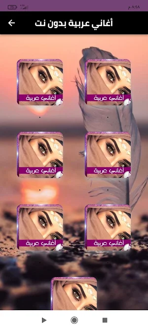 أغاني عربية بدون نت Screenshot 1