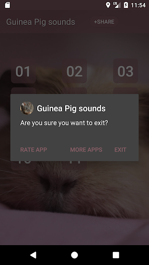 Guinea Pig sounds Screenshot 2
