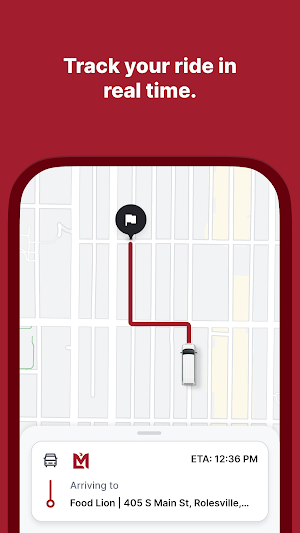 MicroLink Screenshot 3