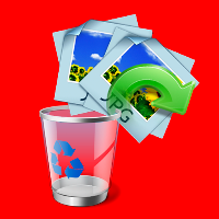 Data recovery - photo & video