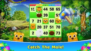 Bingo 365 - Free Bingo Games Offline or Online Screenshot 2