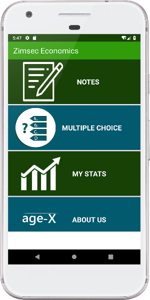 Zimsec Economics Revision Screenshot 0