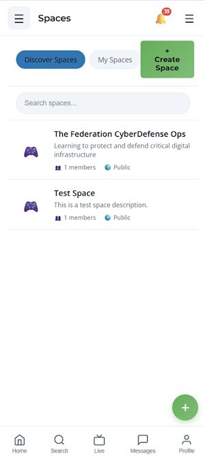 The Federation Screenshot 3