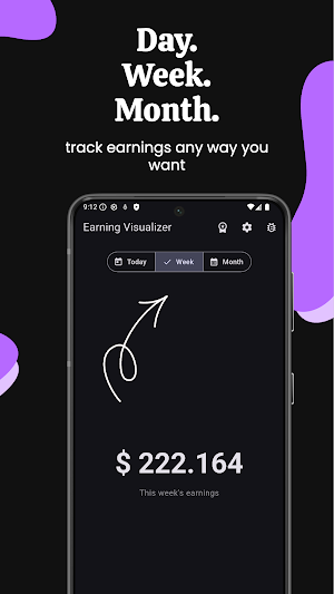 Earning Visualizer Screenshot 3