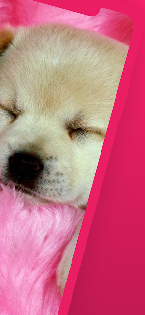 Cute dog wallpapers puppy Screenshot 1