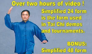 Tai Chi 24 & 48 English Spanis Screenshot 2