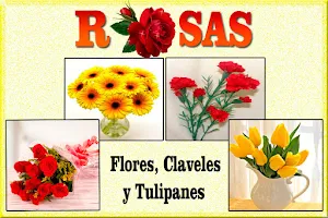 Rosas con Frases de Amor Screenshot 2