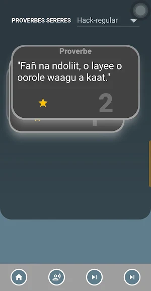 Dico Sereer Screenshot 1