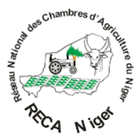 RECA