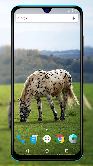 Horse Wallpapers Screenshot 3