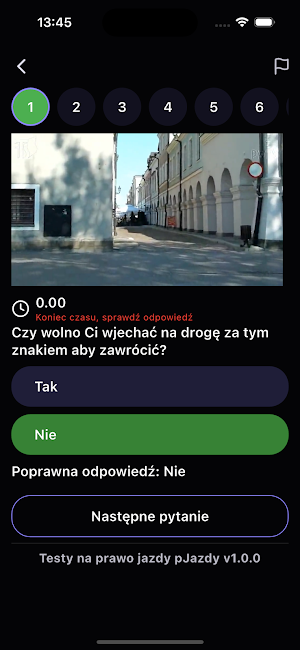PRO Driving Tests 2025 Screenshot 2