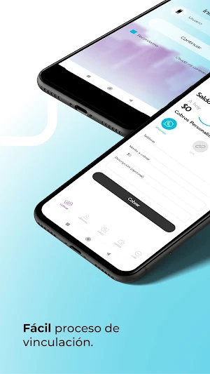 RefacilPay Screenshot 0
