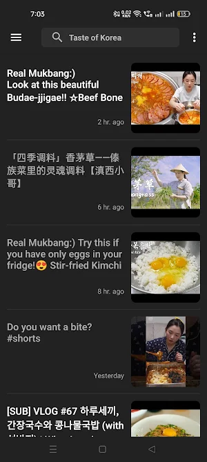 Taste of Korean Cooking Videos Screenshot 0