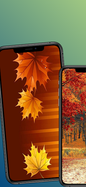 Autumn wallpaper-4k Background Screenshot 3