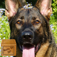 guard dog wallpaper