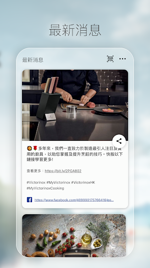 Victorinox Screenshot 1
