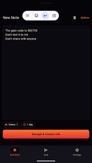 BurnPony — Burn After Reading Screenshot 0