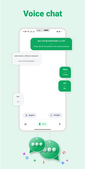 English to Punjabi Translator Screenshot 2