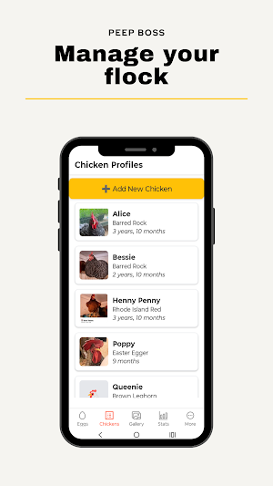 Peep Boss: Chicken Tracker Screenshot 1