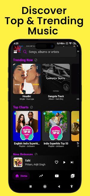 Offline Music Player Screenshot 1