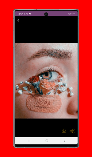 Rose Wallpapers HD Screenshot 1