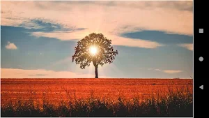 Sunset Beauty Backgrounds Screenshot 3