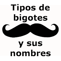 Tipos de bigotes y sus nombres