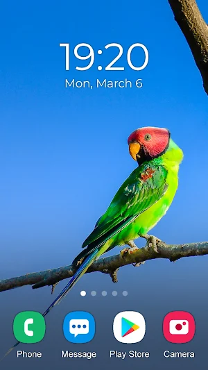 Parrot Wallpaper 2023 Screenshot 3