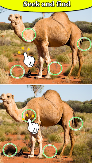 Spot Difference - Bird Puzzle Screenshot 2