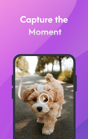 Clip Loop: Boomerang Video Screenshot 1