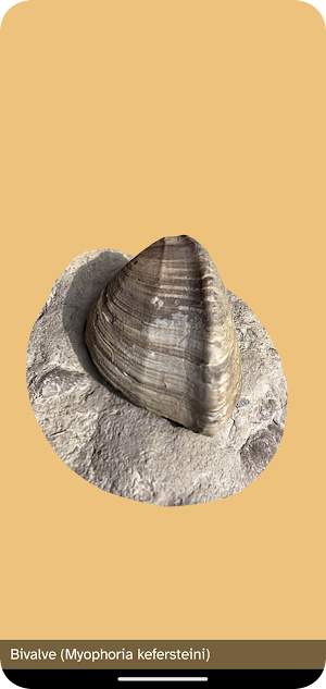 Val Dogna Screenshot 3