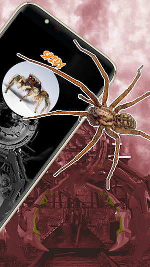 Horror Spider Prank Video Call Screenshot 2