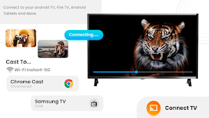 Screen Mirroring & chromecast Screenshot 2