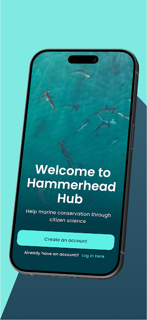 Hammerhead Hub Screenshot 0