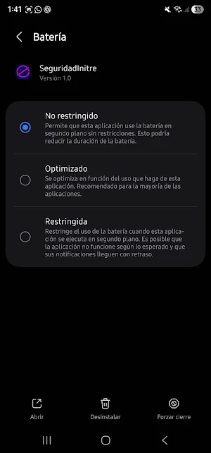 Seguridad Initre Screenshot 3