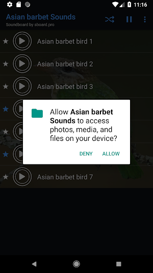 Asian barbet bird Sounds ~ Sboard.pro Screenshot 1