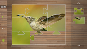 Bird Puzzle Games Screenshot 2